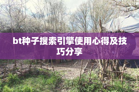 bt种子搜索引擎使用心得及技巧分享
