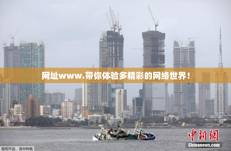 网址www.带你体验多精彩的网络世界！