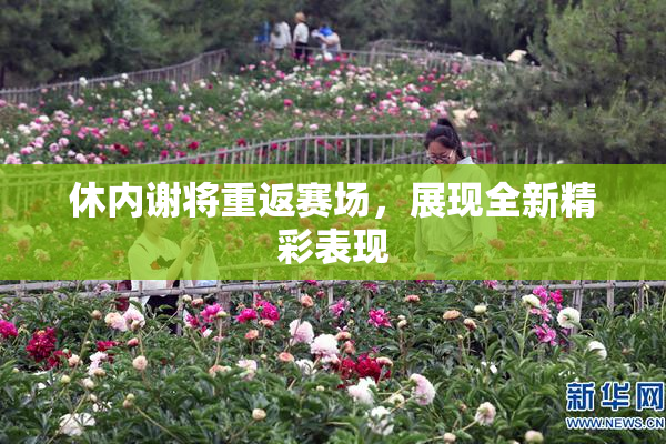 休内谢将重返赛场，展现全新精彩表现