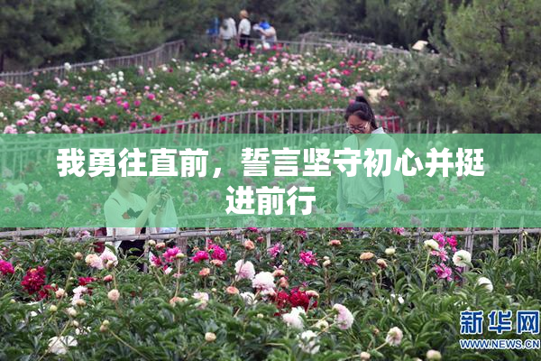 我勇往直前，誓言坚守初心并挺进前行
