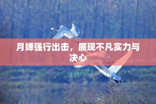 月婵强行出击，展现不凡实力与决心