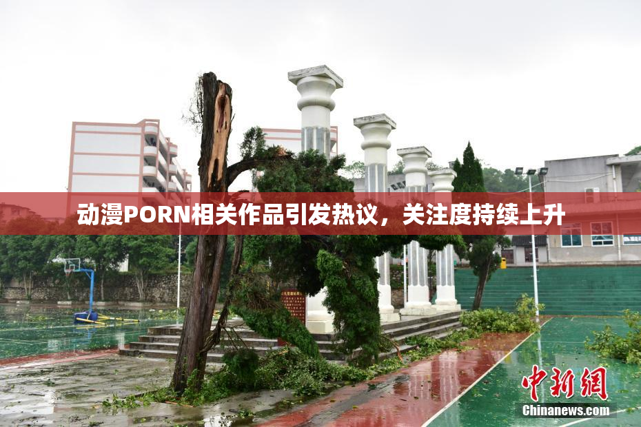 动漫PORN相关作品引发热议，关注度持续上升
