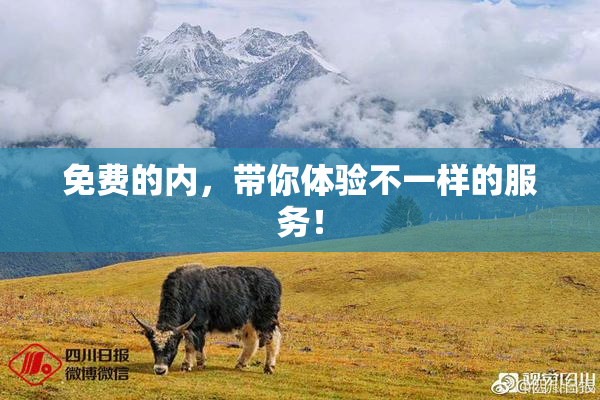 免费的内，带你体验不一样的服务！