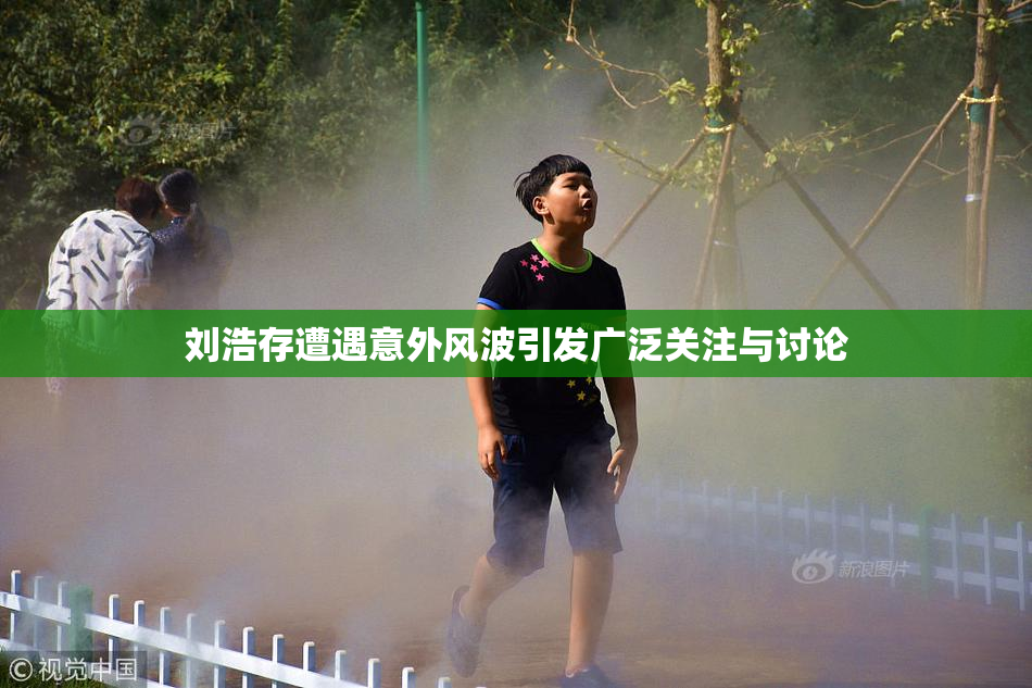 刘浩存遭遇意外风波引发广泛关注与讨论