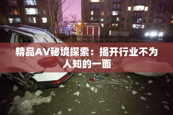 精品AV秘境探索：揭开行业不为人知的一面