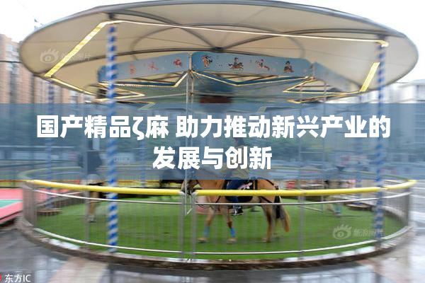 国产精品ζ麻 助力推动新兴产业的发展与创新