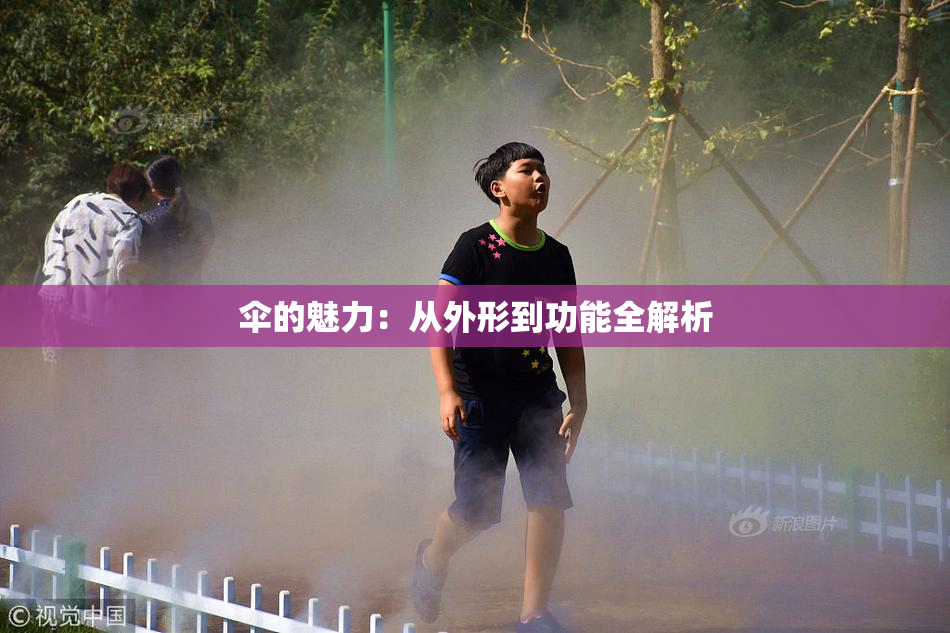伞的魅力：从外形到功能全解析