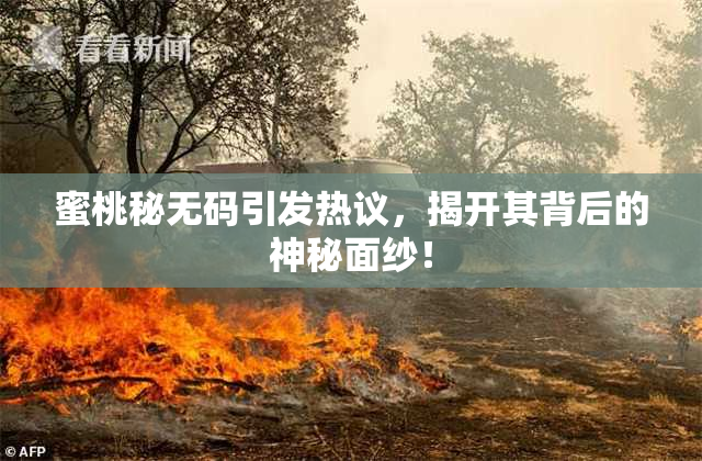 蜜桃秘无码引发热议，揭开其背后的神秘面纱！