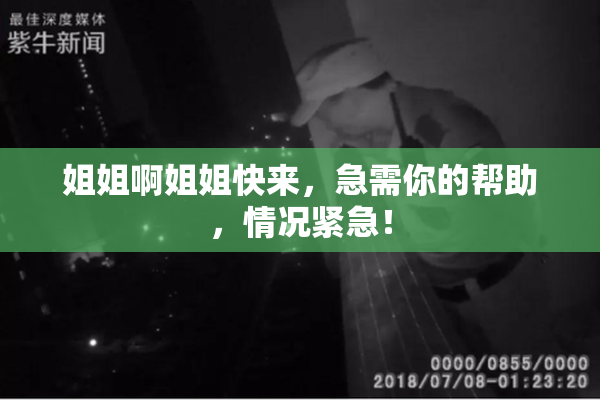 姐姐啊姐姐快来，急需你的帮助，情况紧急！