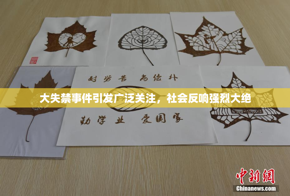 大失禁事件引发广泛关注，社会反响强烈大绝