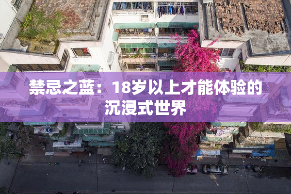 禁忌之蓝：18岁以上才能体验的沉浸式世界