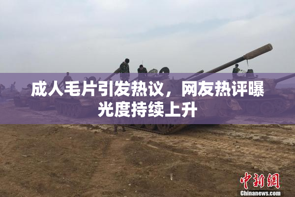 成人毛片引发热议，网友热评曝光度持续上升