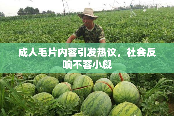 成人毛片内容引发热议，社会反响不容小觑