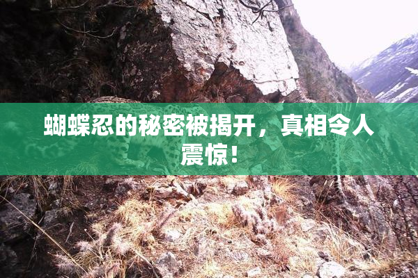蝴蝶忍的秘密被揭开，真相令人震惊！