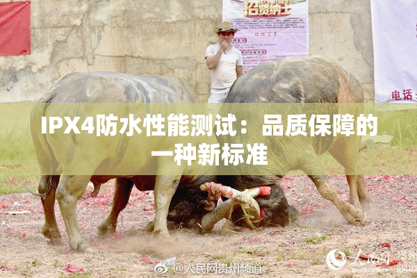 IPX4防水性能测试：品质保障的一种新标准
