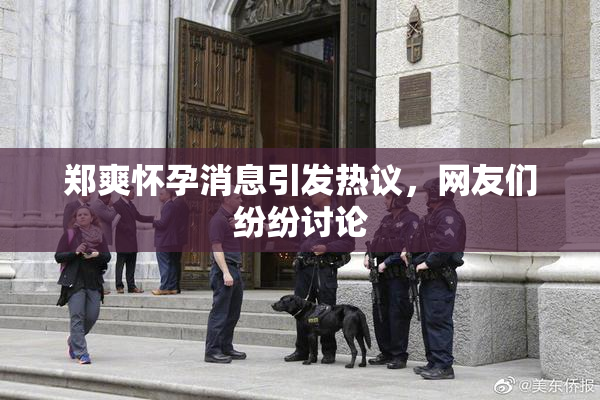 郑爽怀孕消息引发热议，网友们纷纷讨论