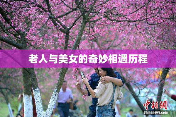 老人与美女的奇妙相遇历程