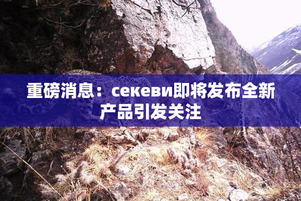 重磅消息：ceкеви即将发布全新产品引发关注