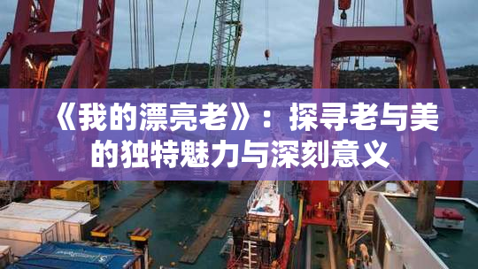 《我的漂亮老》：探寻老与美的独特魅力与深刻意义