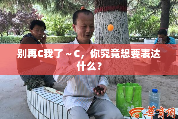 别再C我了～C，你究竟想要表达什么？
