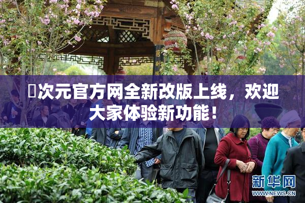 囧次元官方网全新改版上线，欢迎大家体验新功能！