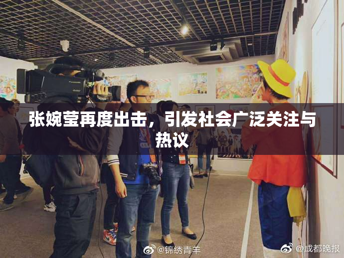 张婉莹再度出击，引发社会广泛关注与热议