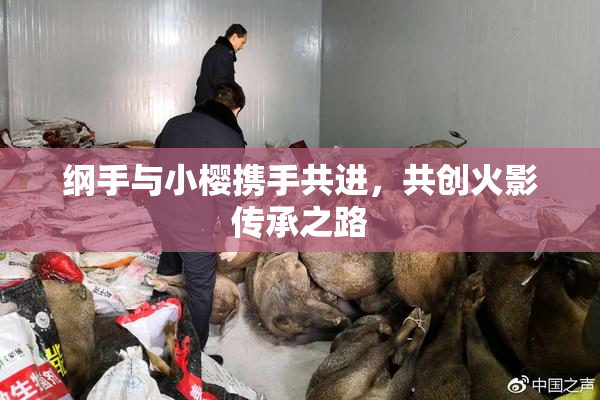 纲手与小樱携手共进，共创火影传承之路