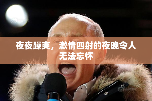 夜夜躁爽，激情四射的夜晚令人无法忘怀