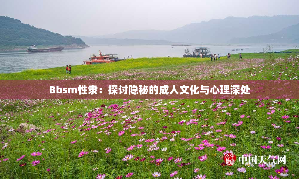 Bbsm性隶：探讨隐秘的成人文化与心理深处