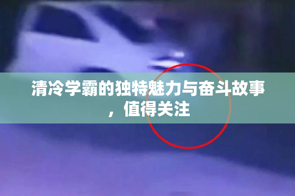 清冷学霸的独特魅力与奋斗故事，值得关注