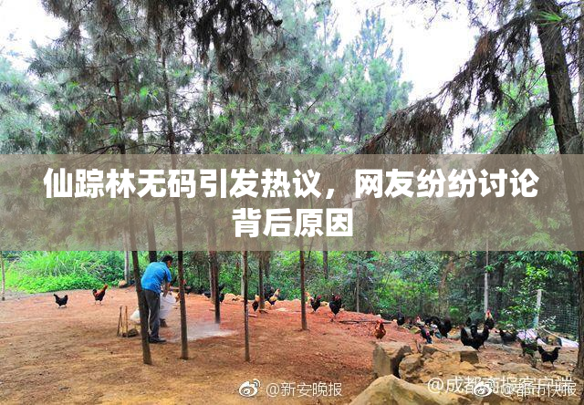 仙踪林无码引发热议，网友纷纷讨论背后原因
