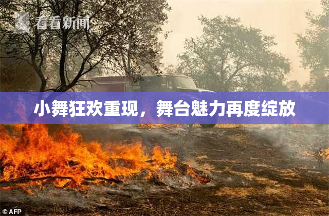 小舞狂欢重现，舞台魅力再度绽放