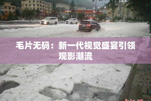 毛片无码：新一代视觉盛宴引领观影潮流