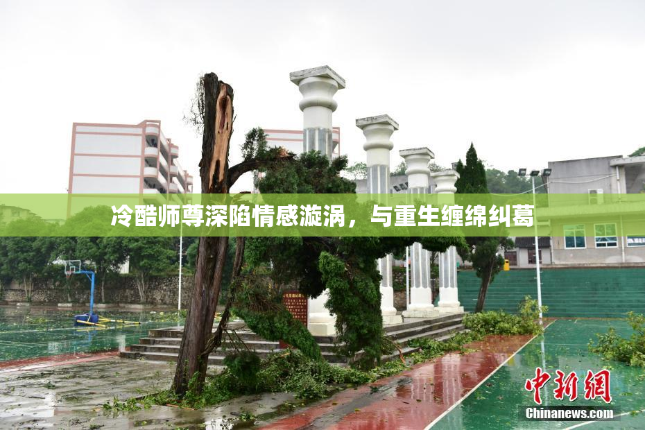 冷酷师尊深陷情感漩涡，与重生缠绵纠葛