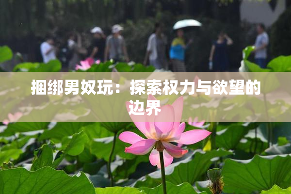 捆绑男奴玩：探索权力与欲望的边界