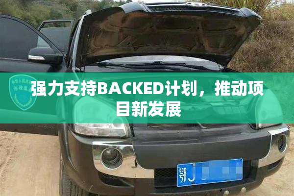 强力支持BACKED计划，推动项目新发展