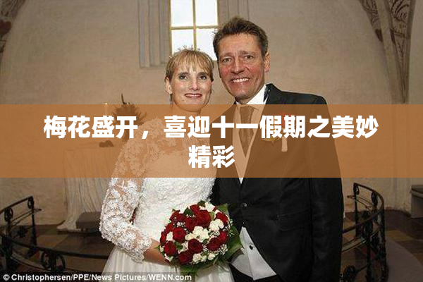 梅花盛开，喜迎十一假期之美妙精彩
