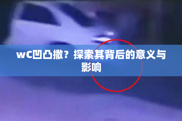 wC凹凸撒？探索其背后的意义与影响