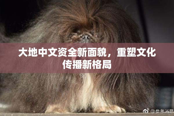 大地中文资全新面貌，重塑文化传播新格局