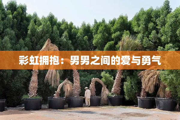 彩虹拥抱：男男之间的爱与勇气