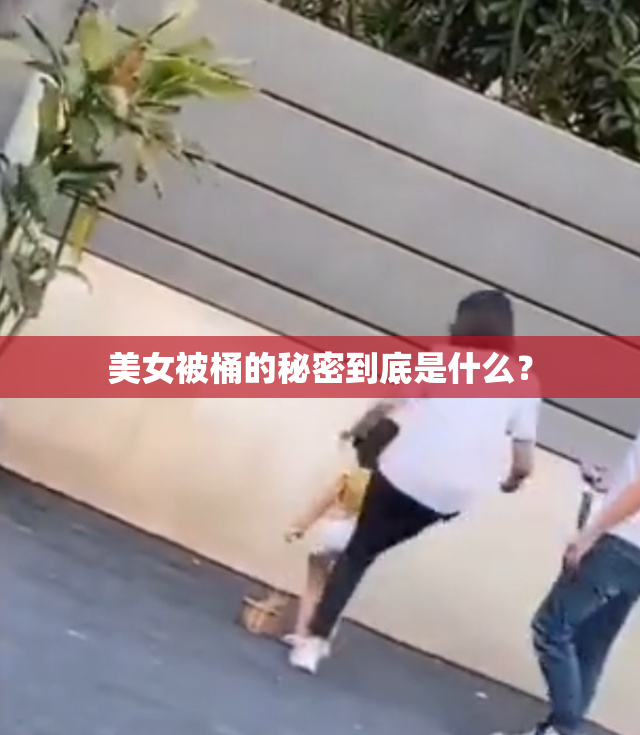 美女被桶的秘密到底是什么？