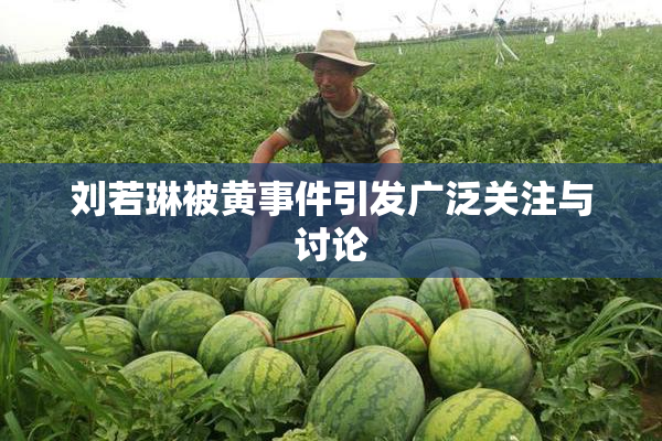 刘若琳被黄事件引发广泛关注与讨论