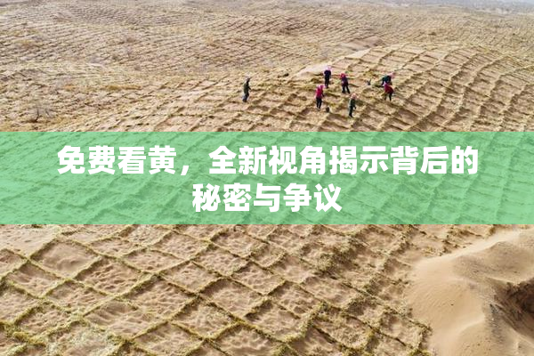 免费看黄，全新视角揭示背后的秘密与争议