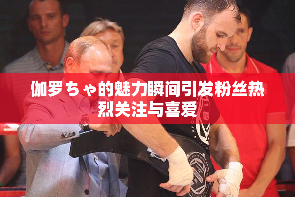 伽罗ちゃ的魅力瞬间引发粉丝热烈关注与喜爱