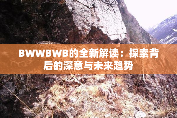 BWWBWB的全新解读：探索背后的深意与未来趋势