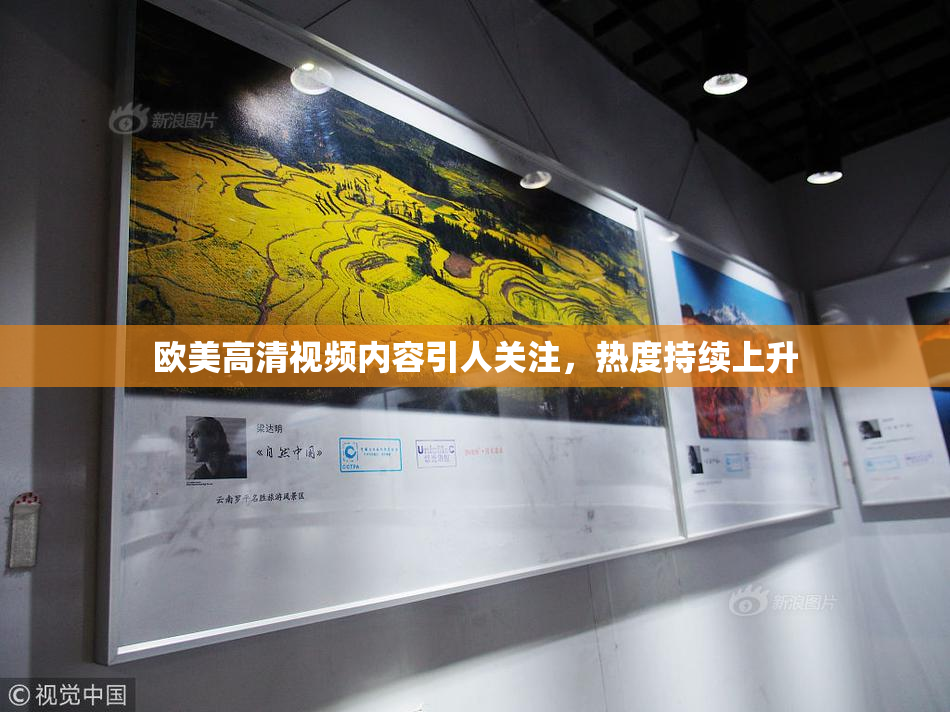 欧美高清视频内容引人关注，热度持续上升