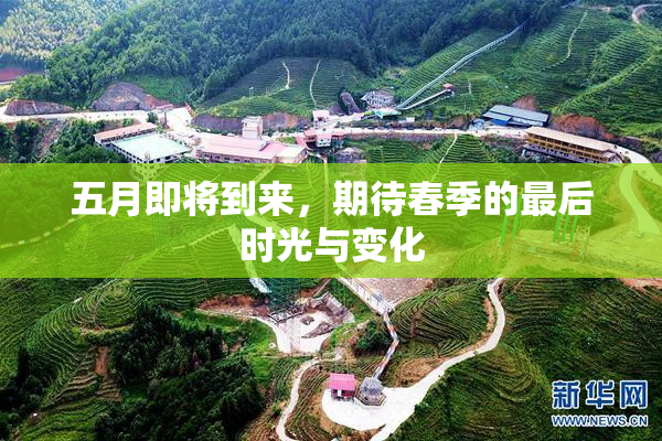 五月即将到来，期待春季的最后时光与变化