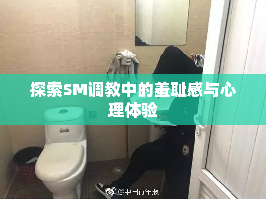 探索SM调教中的羞耻感与心理体验