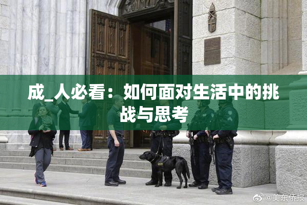 成_人必看：如何面对生活中的挑战与思考