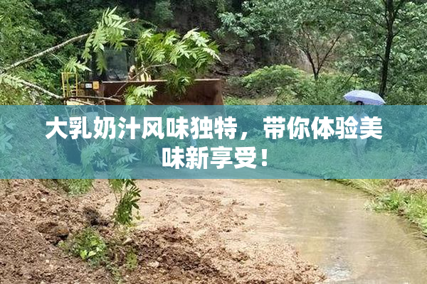 大乳奶汁风味独特，带你体验美味新享受！